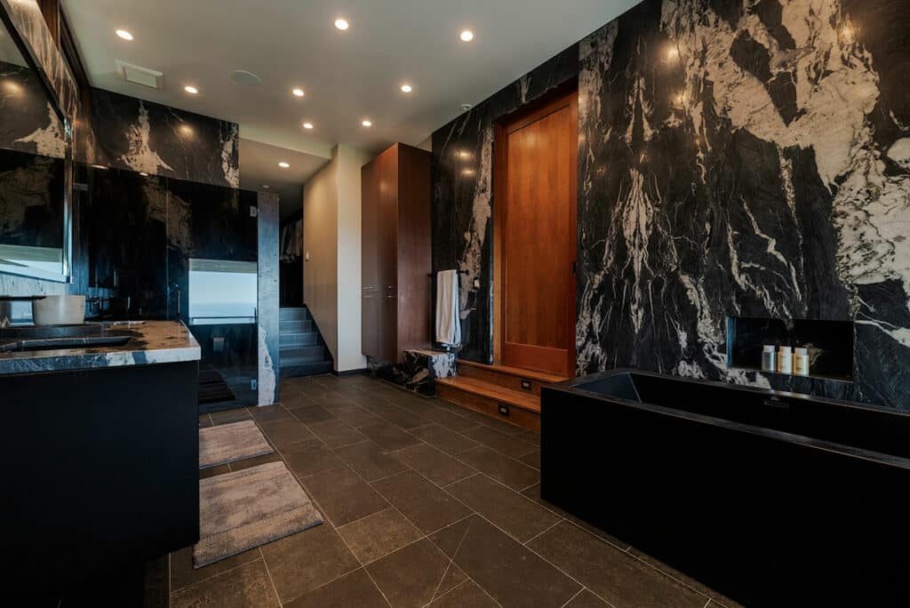 Andes Black Quartzite