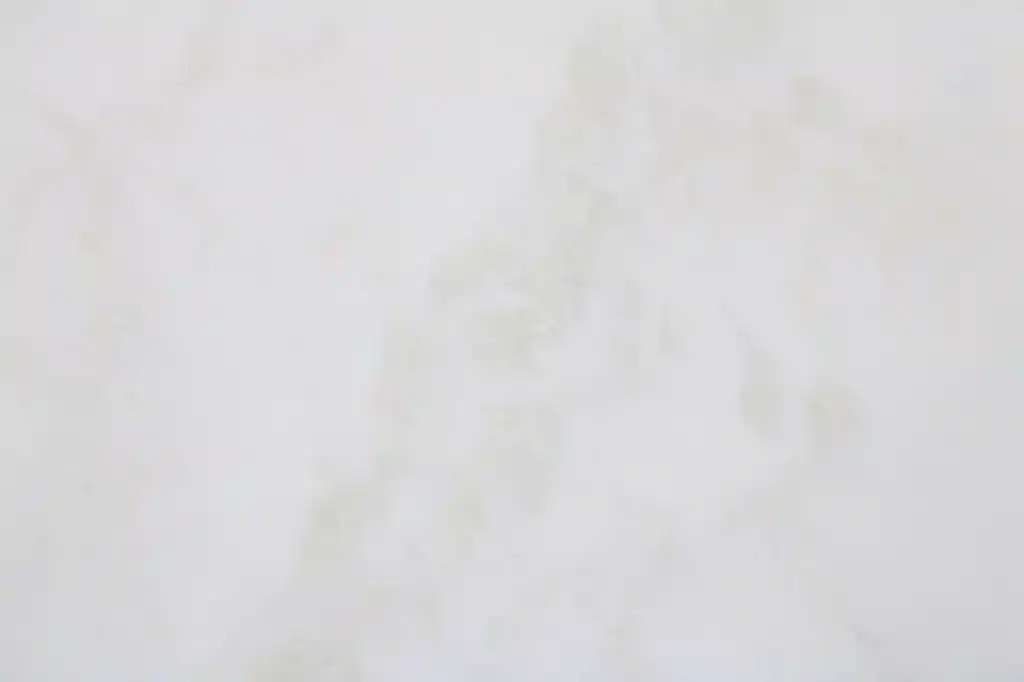 Bianco Rino - Marble