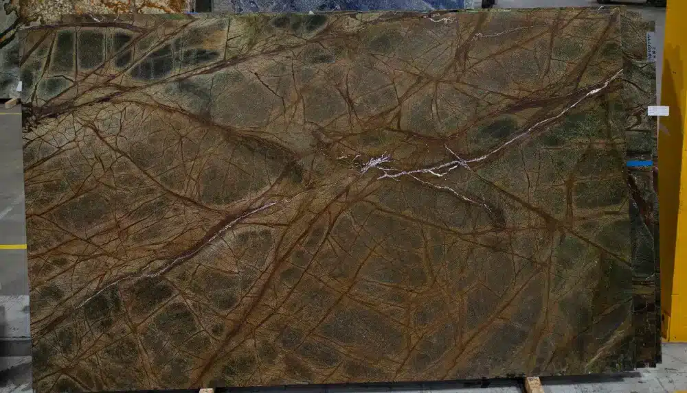 Rain Forest Green