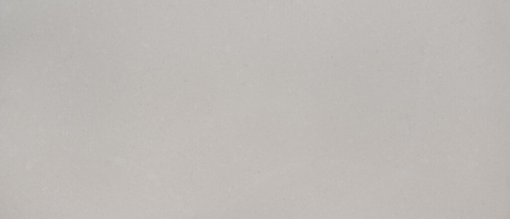 Fossil Gray Matte quartz