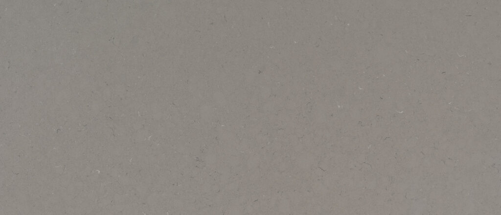 Fossil Gray quartz