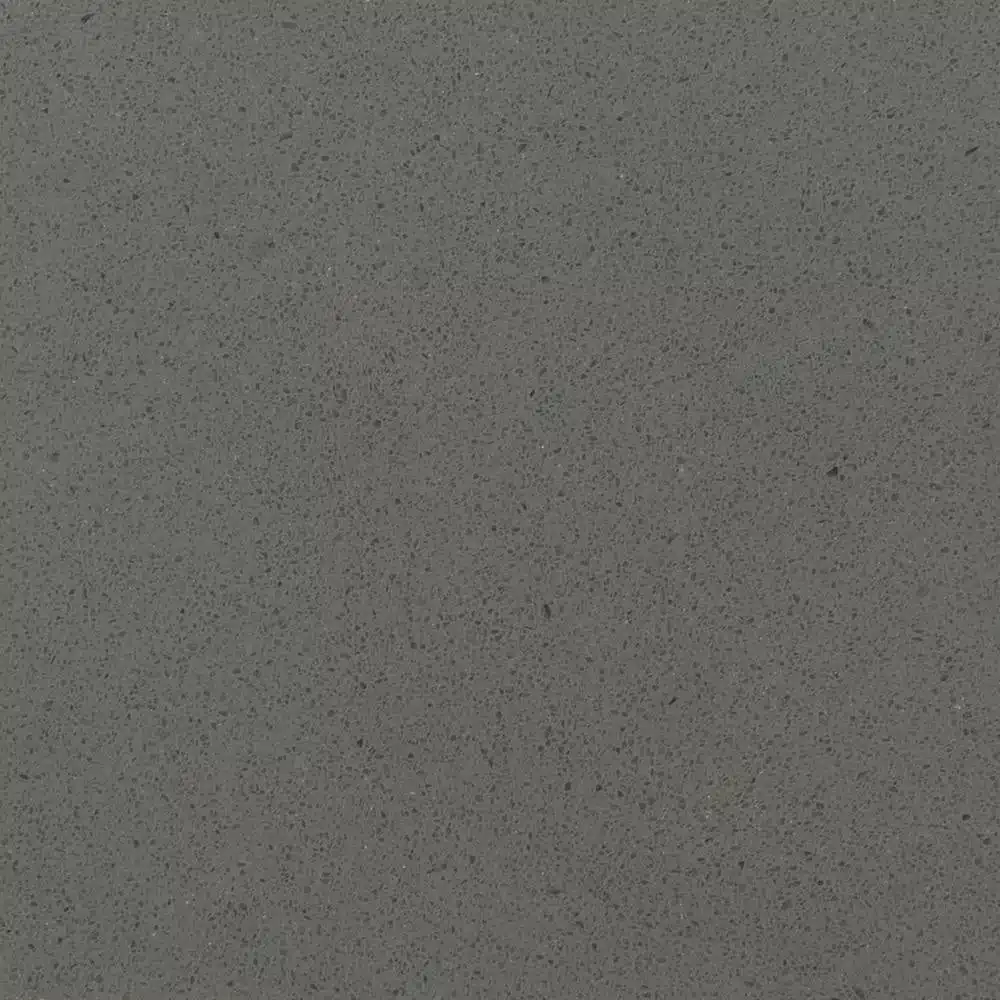 Fossil Grey Quartz